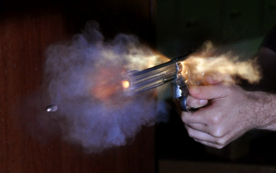 Smith_and_Wesson_900pix.jpg